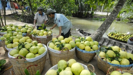 Kết nối doanh nghiệp tỉnh Trà Vinh với các sàn thương mại điện tử