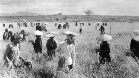 Nông nghiệp, Thống kê từng thuộc ngành Công Thương