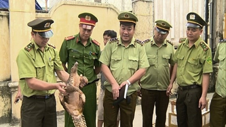 Đẩy mạnh truyền thông để bảo vệ các loài động vật hoang dã, quý hiếm