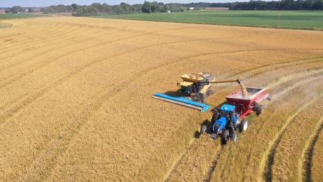 Trung Quốc đặt mục tiêu tăng cường tự chủ lương thực, giảm dần nhập khẩu ngũ cốc