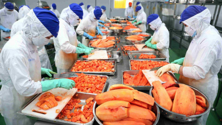 Một số giải pháp nâng cao hiệu quả kinh doanh của các doanh nghiệp xuất khẩu nông sản Việt Nam