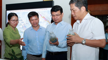 Cần nâng cao chất lượng, hiệu quả kinh tế rừng