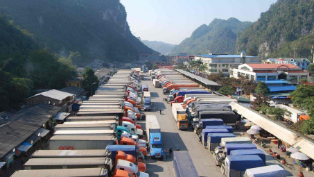 Triển khai các biện pháp cấp bách giảm ùn ứ và thúc đẩy xuất khẩu nông sản tại cửa khẩu biên giới phía Bắc