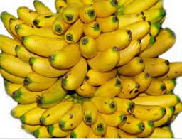 Khảo sát các yếu tố ảnh hưởng đến quá trình sấy phun bột chuối Nam Mỹ Cavendish banana