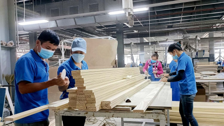 EU thông báo quy định mới đối với một số sản phẩm liên quan đến phá rừng và suy thoái rừng