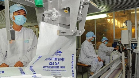 Thành Thành Công-Biên Hòa: Phát hành hơn 67 triệu cổ phiếu trả cổ tức, kỳ vọng hưởng lợi từ giá đường tăng cao