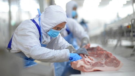 BaF Việt Nam: Đẩy mạnh chuỗi giá trị thịt heo 3F khép kín, doanh thu mảng chăn nuôi 2023 có thể tăng gấp 2,3 lần