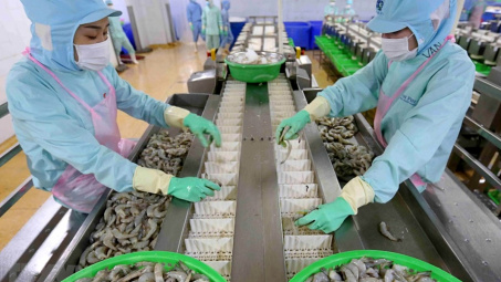 Thủy sản Minh Phú sẽ hợp tác với cơ quan nghiên cứu Chính phủ Úc xây dựng trung tâm nghiên cứu tôm