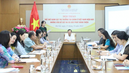 Thực trạng và giải pháp hoàn thiện mô hình giám sát tài chính tại Việt Nam