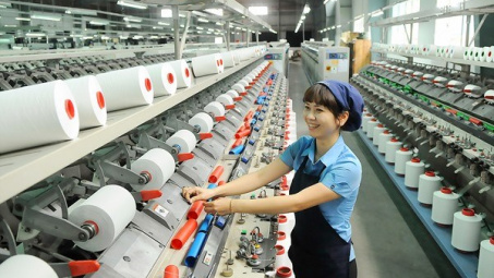 Tổng Công ty Việt Thắng (TVT): Thanh toán cổ tức năm 2022 bằng tiền tỷ lệ 25%