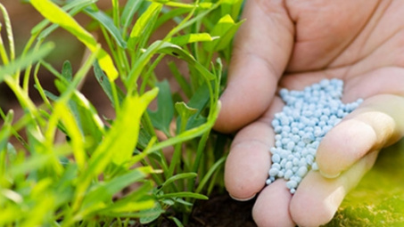 Vi phạm hành chính về phân bón bị phạt tới 200 triệu đồng