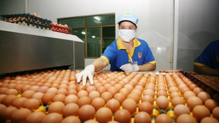 Công bố hạn ngạch thuế quan nhập khẩu muối, trứng gia cầm năm 2023