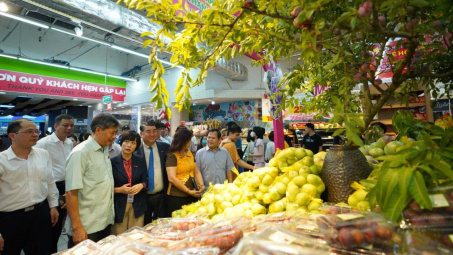 Khai mạc Tuần lễ Mận và nông sản an toàn tỉnh Sơn La và các tỉnh, thành phố năm 2023