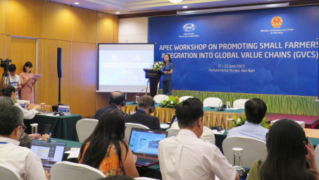 Thúc đẩy nông dân và hộ sản xuất nhỏ tham gia chuỗi giá trị toàn cầu
