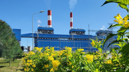 Triển khai hiệu quả Chiến lược quốc gia về tăng trưởng xanh giai đoạn 2021-2030, tầm nhìn đến năm 2050