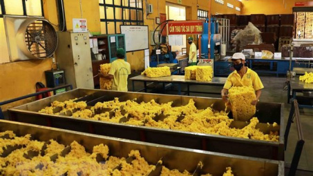Nhu cầu tăng cao, xuất khẩu cao su tự nhiên có nắm được cơ hội bứt phá?