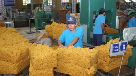 Việt Nam là nhà cung cấp cao su tự nhiên lớn thứ 5 cho Tây Ban Nha