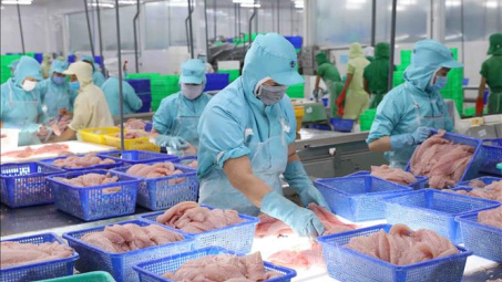 Doanh nghiệp Việt hóa giải những khó khăn ở thị trường châu Mỹ