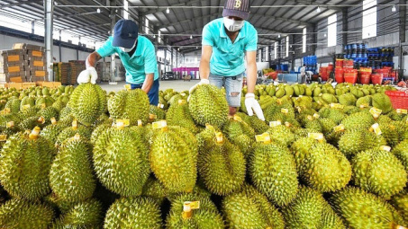 Nắm bắt các cơ hội mới tại thị trường truyền thống Trung Quốc
