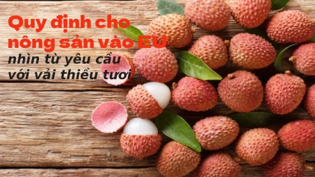 [E-magazine] Quy định cho nông sản vào EU, nhìn từ yêu cầu với vải thiều tươi