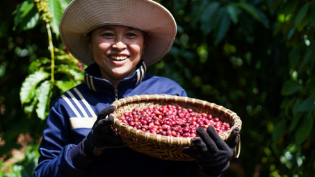 Nestle thúc đẩy áp dụng mô hình nông nghiệp tái sinh, làm giải pháp phát triển bền vững