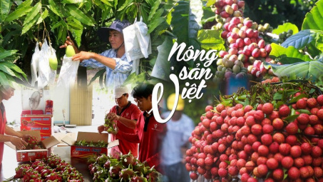 Bộ Công Thương: Đồng bộ giải pháp đẩy mạnh xuất khẩu nông sản chủ lực