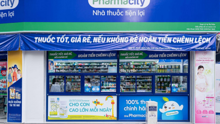 Các yếu tố ảnh hưởng đến quyết định chọn thương hiệu Pharmacity tại thành phố Hồ Chí Minh