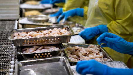 Thực phẩm Sao Ta: Doanh thu tháng 5 giảm 44%, dự báo giá tôm Việt Nam còn tiếp tục giảm trước sức ép từ tôm Ecuador