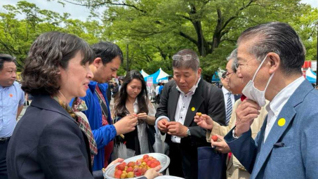 Những lô hàng vải thiều tươi sớm đầu tiên đã có mặt tại Lễ hội Việt Nam 2023 tại Nhật Bản