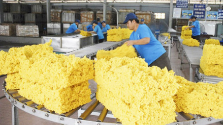Cao su Việt Nam tăng thị phần tại Trung Quốc