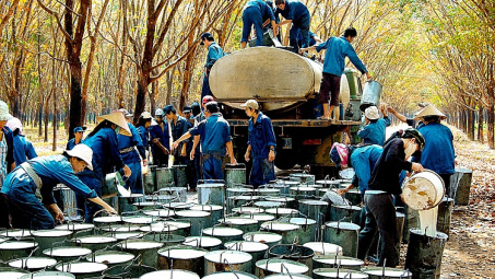 Xuất khẩu cao su tháng 5 tăng cả lượng và trị giá so với tháng 4