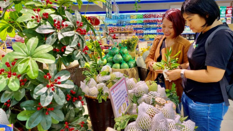 Saigon Co.op hợp tác tiêu thụ đặc sản Tây Ninh tại 800 điểm phân phối