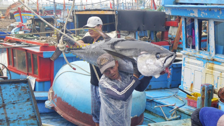 Nâng cao năng lực quản lý nhà nước về thủy sản để phù hợp với nghề cá quy mô lớn, công nghiệp