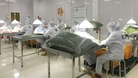 Khuyến công tỉnh Lâm Đồng: Trái ngọt sau 10 năm nỗ lực