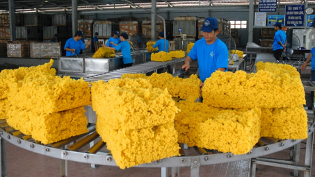 Công ty mẹ Cao su Phước Hoà (PHR) báo lãi quý 2/2023 tăng gấp gần 10 lần