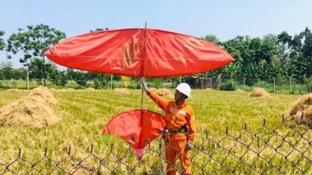 Hiểm họa từ thú chơi thả diều gần hành lang an toàn lưới điện