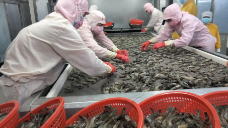 Camimex Group: Sắp chào bán 300 tỷ trái phiếu, đặt mục tiêu xuất khẩu 10.000 tấn tôm năm nay