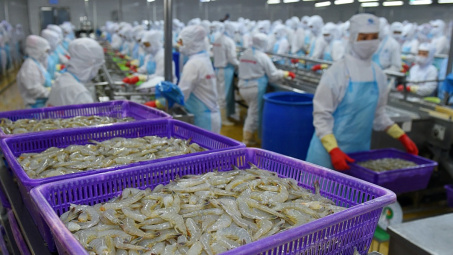 Giá tôm thương phẩm đã chạm đáy, xuất khẩu tôm kỳ vọng phục hồi dần từ quý 3/2023