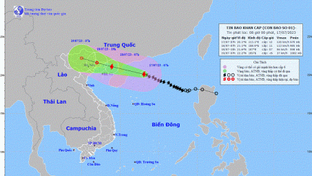 EVNGENCO1 chủ động ứng phó với Bão số 1 (TALIM)