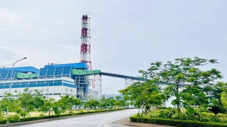 Nhiệt điện Thái Bình phát triển sản xuất kinh doanh gắn với bảo vệ môi trường