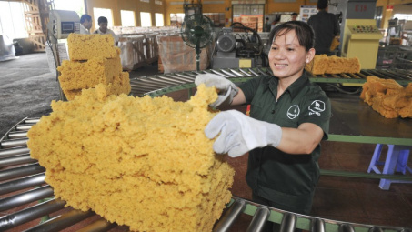 Cao su Đồng Phú (DRP): Tham vọng xoay trục sang kinh doanh bất động sản khu công nghiệp