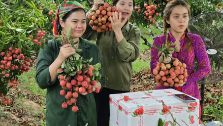 Nông sản trong giỏ hàng người trẻ