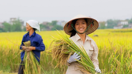 Cổ phiếu gạo “nổi sóng”, doanh nghiệp nào thực sự hưởng lợi từ giá gạo xuất khẩu tăng cao?