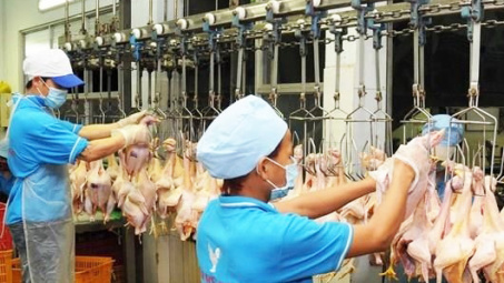 Xác định các thị trường trọng điểm xuất khẩu thịt gà chế biến