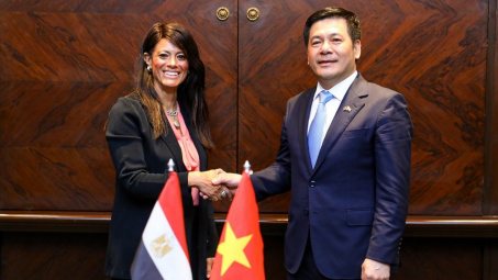 Nghiên cứu khả năng đàm phán Hiệp định thương mại tự do Việt Nam - Ai Cập