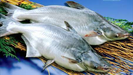 Tổng hợp dung môi sâu ethyleneglycol/2-heptylbenzimidazole ứng dụng làm giàu omega-3 từ methylester của mỡ phụ phẩm cá basa