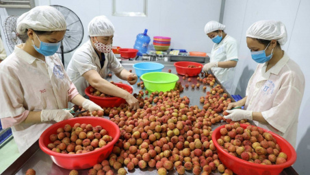 Bức tranh kinh tế - xã hội 6 tháng đầu năm 2023 có thêm điểm sáng