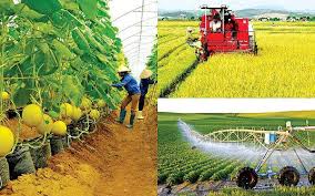 Giải pháp phát triển ngành nông nghiệp đến năm 2030 theo Nghị quyết Trung ương Đảng khóa XIII