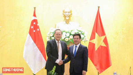 Hỗ trợ doanh nghiệp Singapore đầu tư điện gió, điện gió ngoài khơi tại Việt Nam