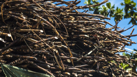 Quản lý cung cầu đường từ các nước - Bài học cho Việt Nam